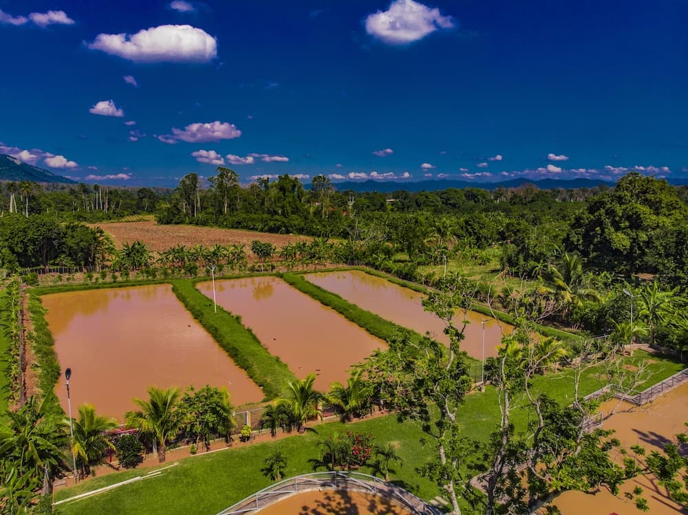 Hotel Rancho Guacamayos - Photo 142