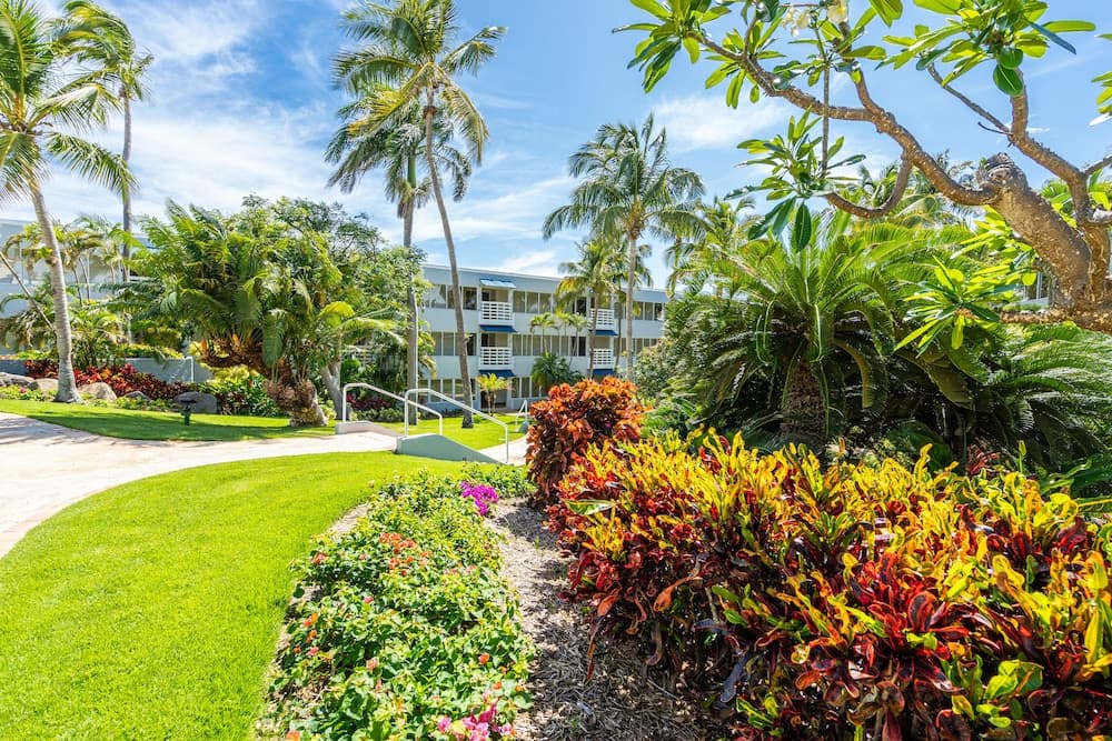 El Conquistador Resort - Photo 49