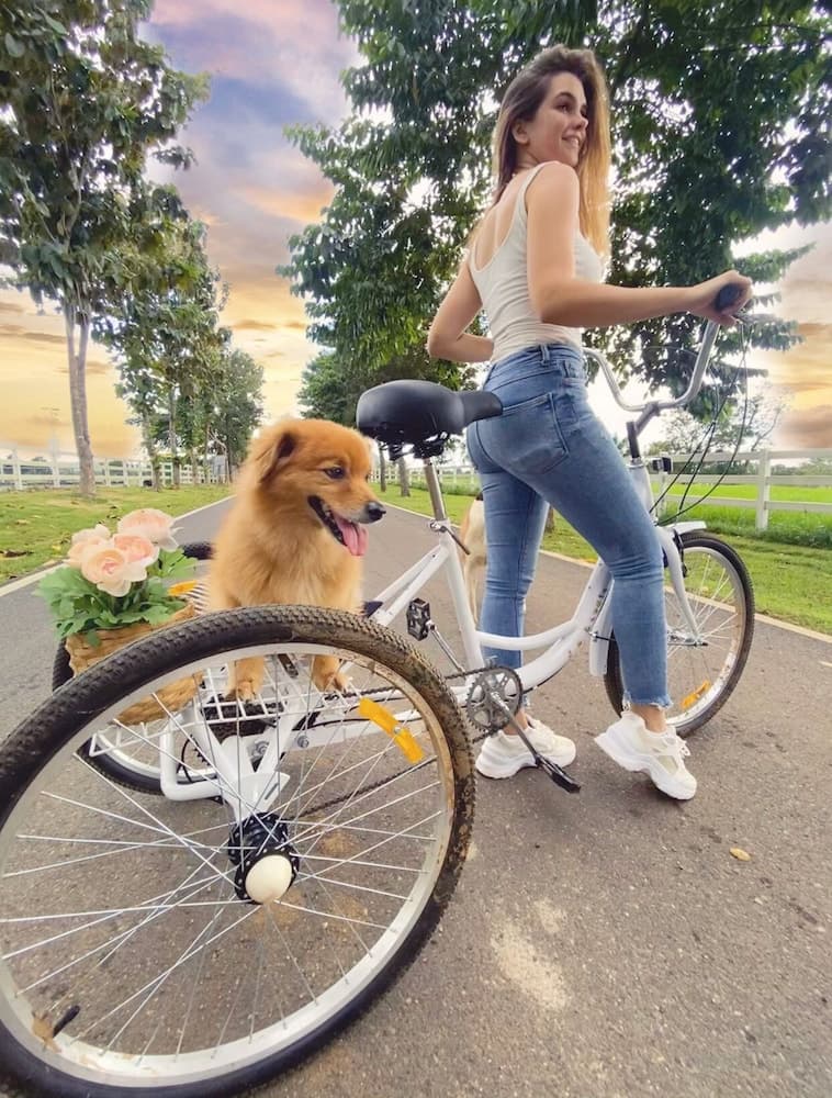 Hotel Caribbean Adventure - Photo 10