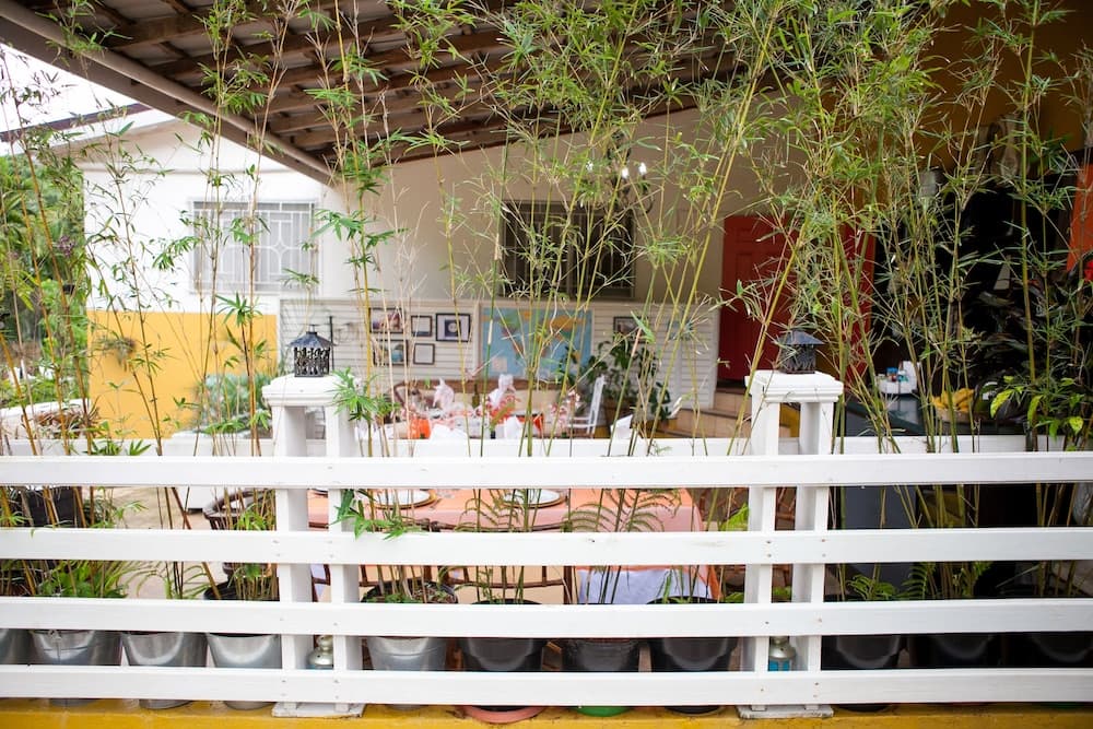 Casa da Buena Vista - Photo 55