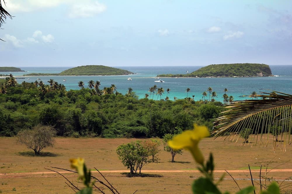 Hacienda Tamarindo - Photo 135