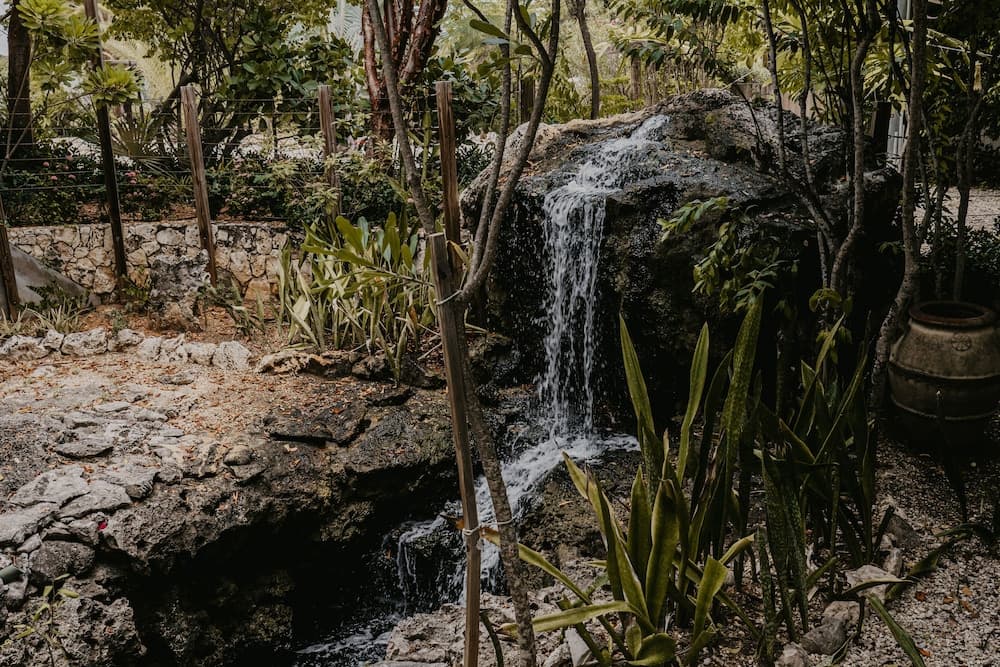 Le Soleil d'Or CaymanBrac - Photo 53