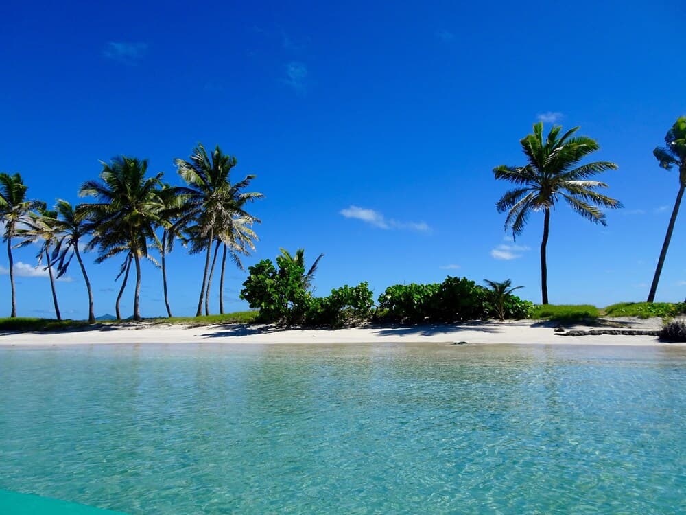 Salt Whistle Bay Retreat - Photo 14