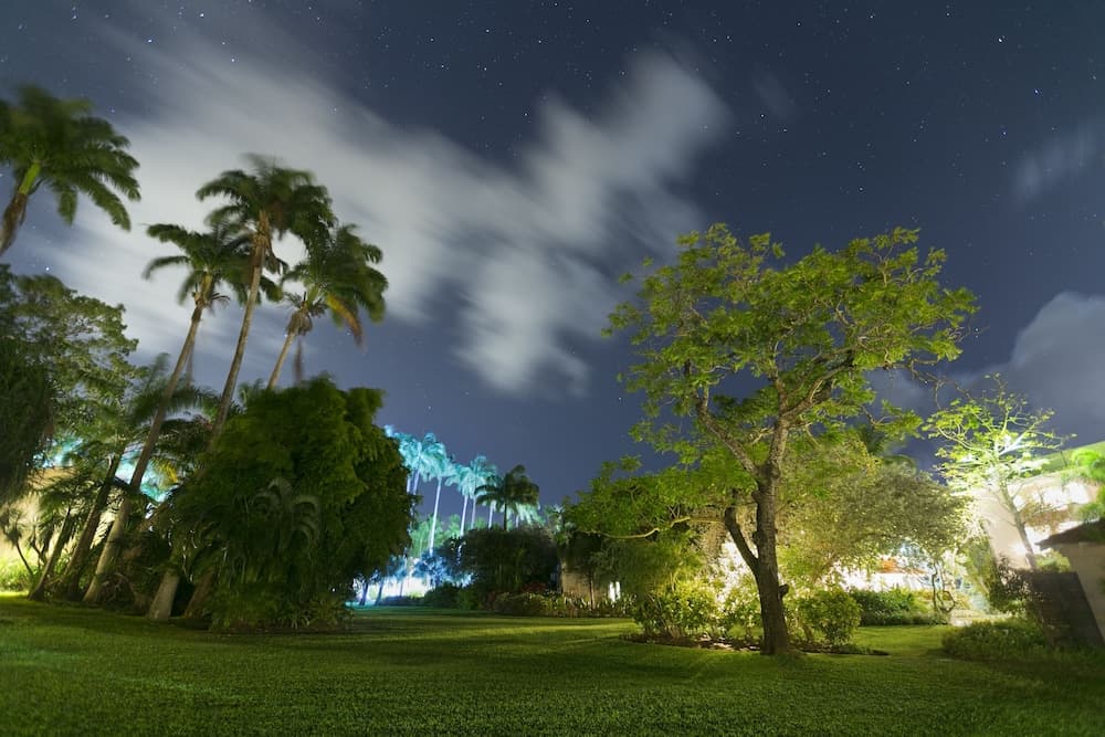 Fairmont Royal Pavilion - Photo 76