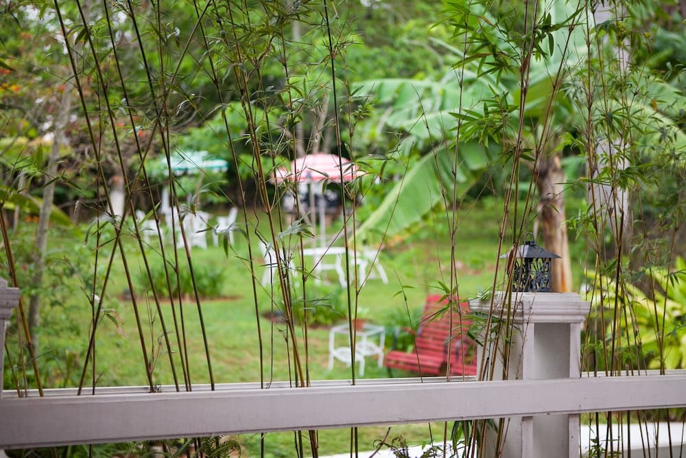 Casa da Buena Vista - Photo 39