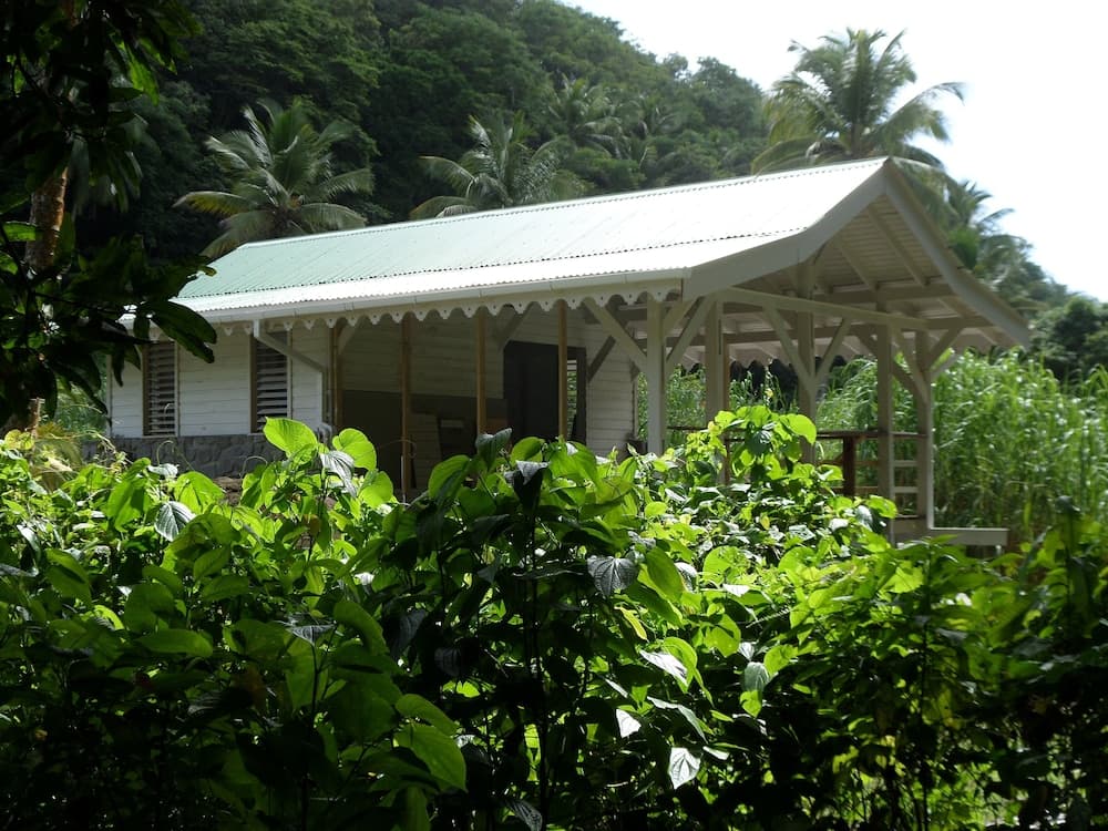 Citrus Creek Plantation - Photo 6