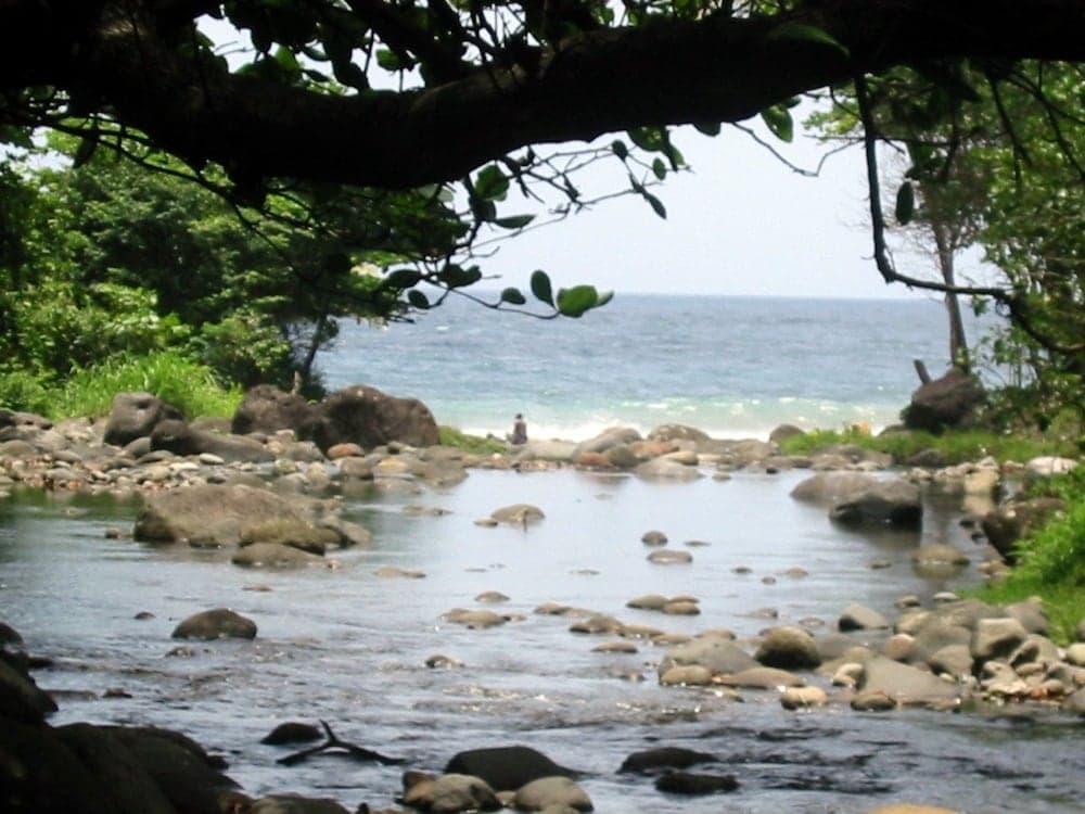 Citrus Creek Plantation - Photo 64