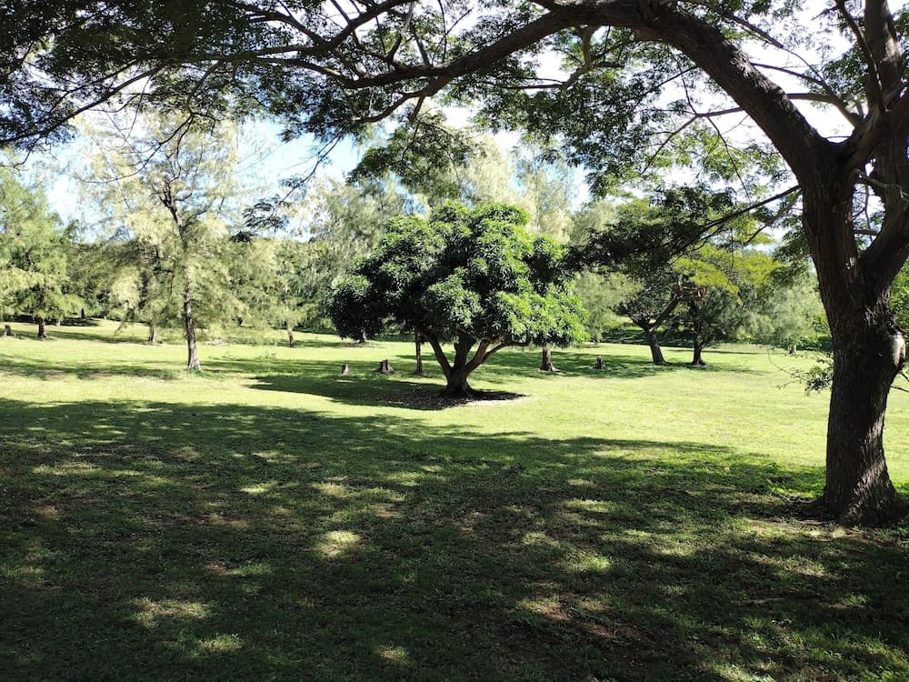 Hix Island House - Photo 29