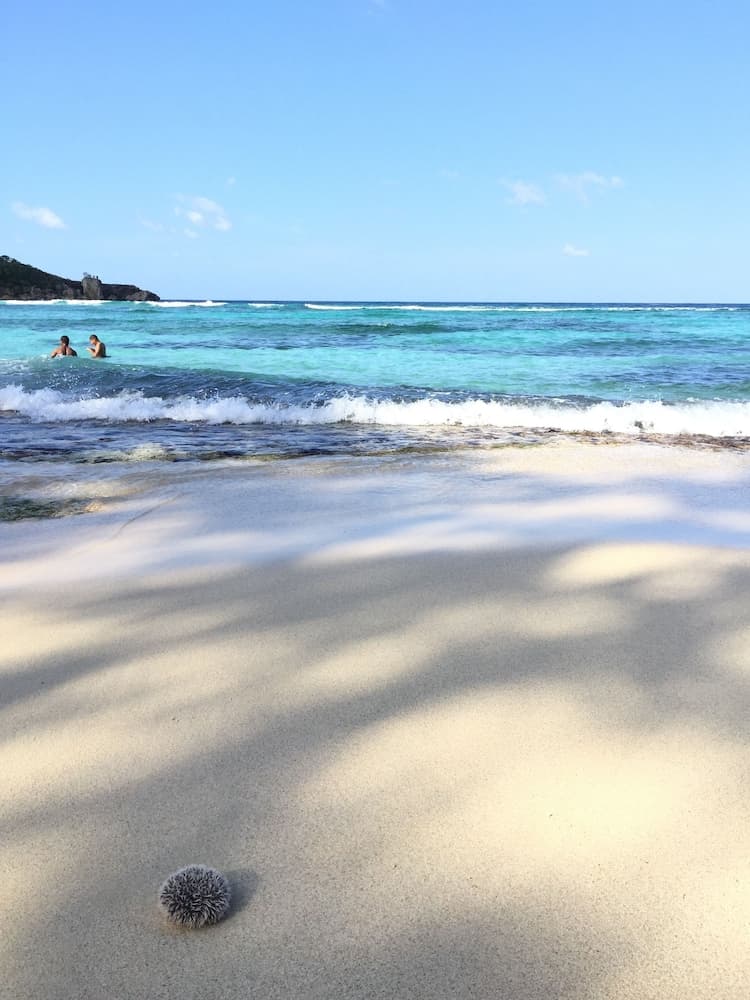 Goblin Hill Villas at San San - Photo 173