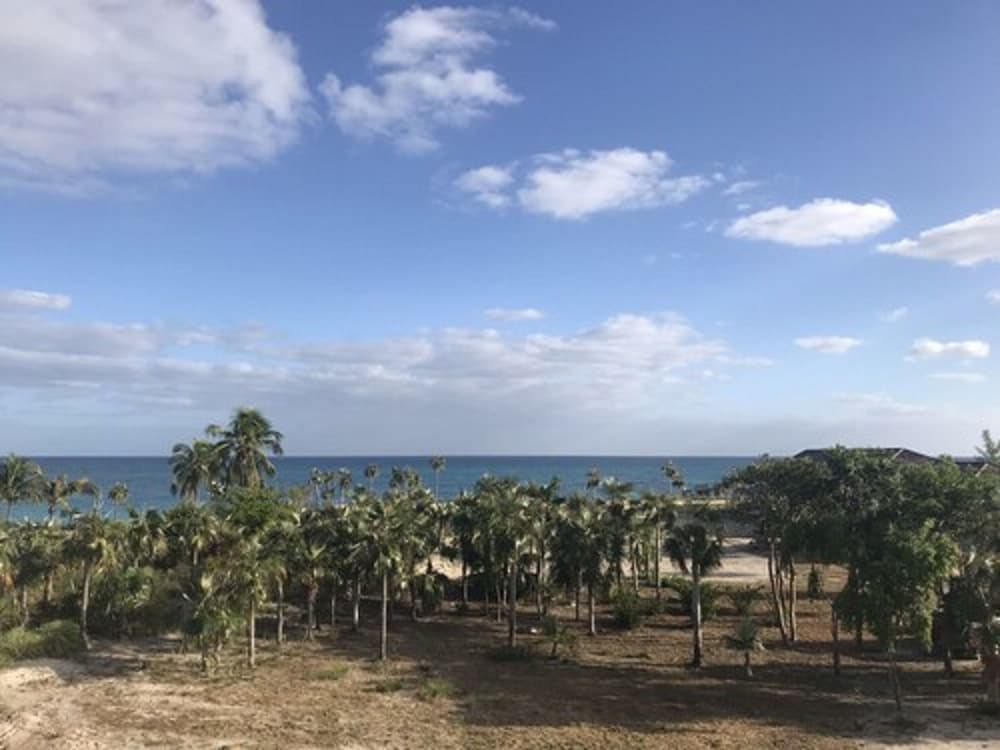 La Bougainvillea Hotel and Villas - Photo 116