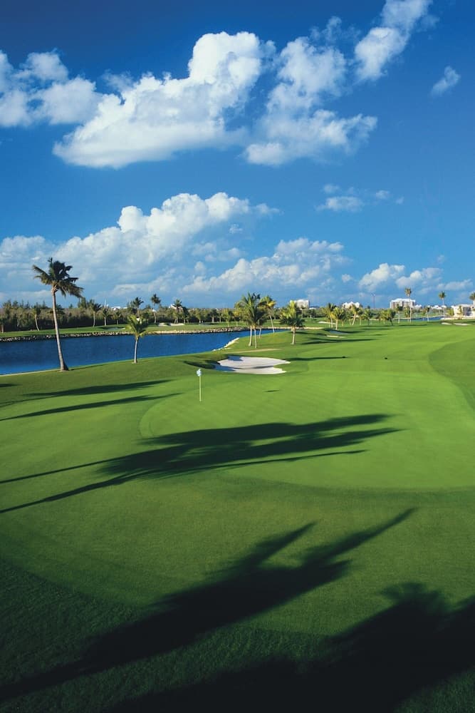 The Ritz-Carlton, Grand Cayman - Photo 56