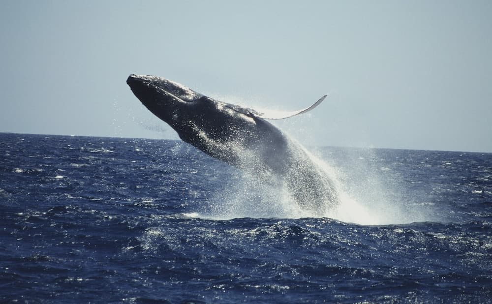 Hotel Bannister by Mint - Photo 72