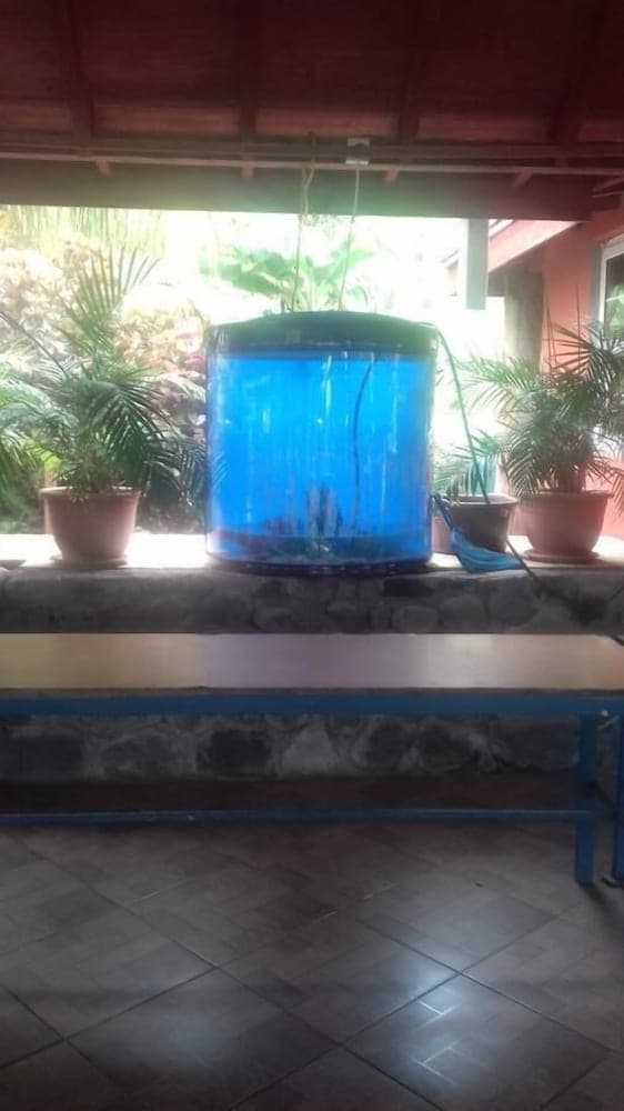 Spring Gardens Resort - Photo 6