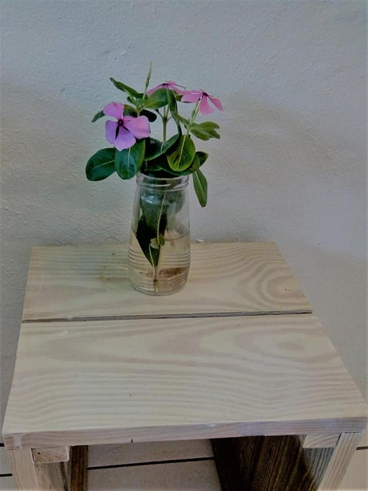 Richmond Vale Diving and Hiking Center - Hostel - Photo 23