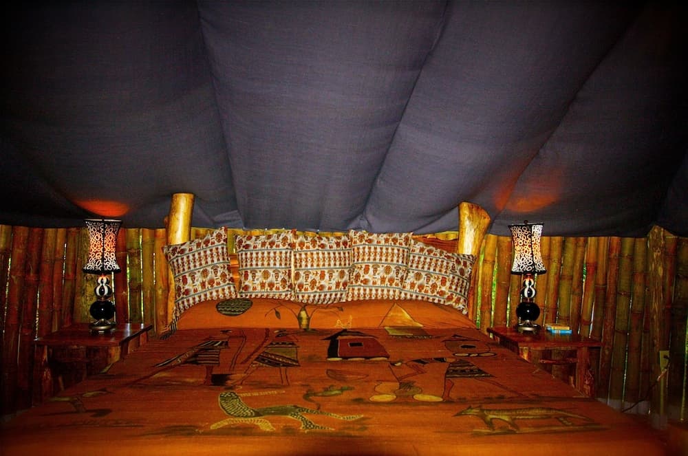 Great Huts - Photo 12