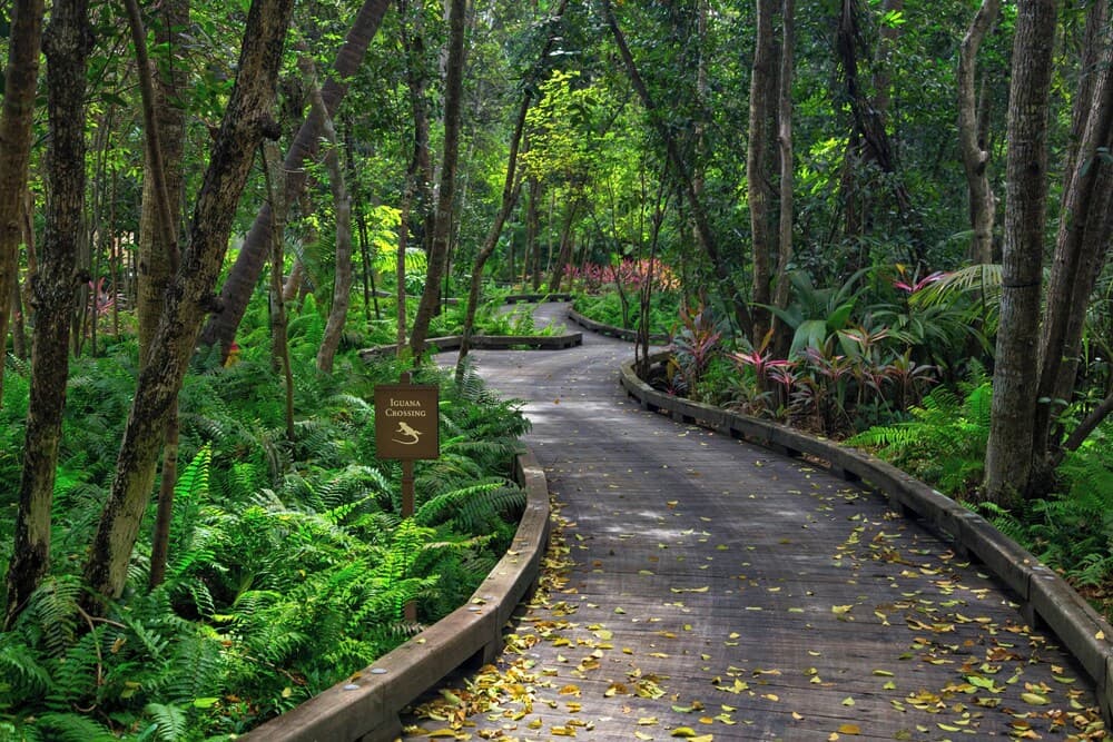 Four Seasons Resort and Residence Puerto Rico - Photo 42