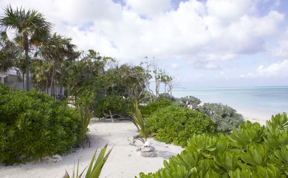 Pelican Beach Hotel - Photo 48