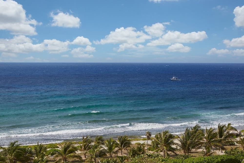 Le Soleil d'Or - Photo 19