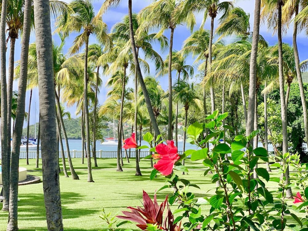 Bequia Plantation Hotel - Photo 56