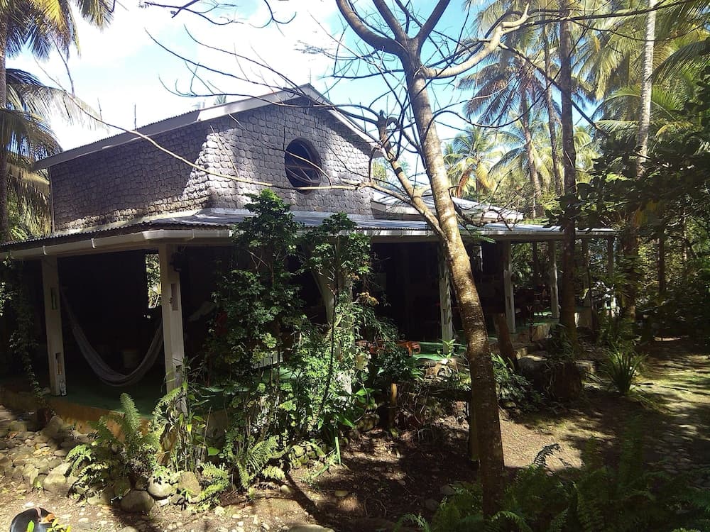 Citrus Creek Plantation - Photo 118