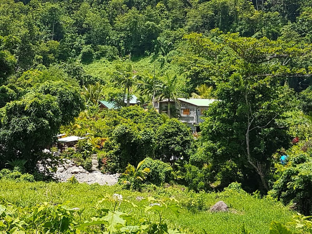 Citrus Creek Plantation - Photo 53