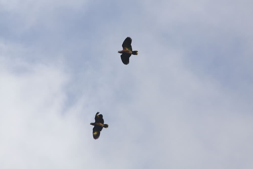 Richmond Vale Diving and Hiking Center - Hostel - Photo 29