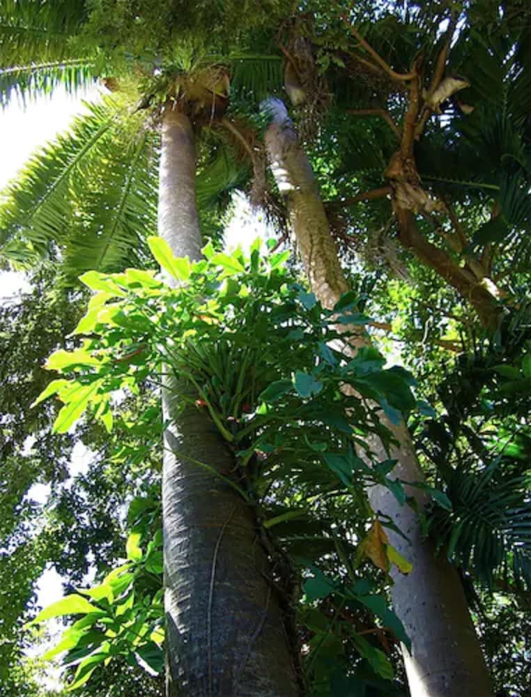 Goblin Hill Villas at San San - Photo 150