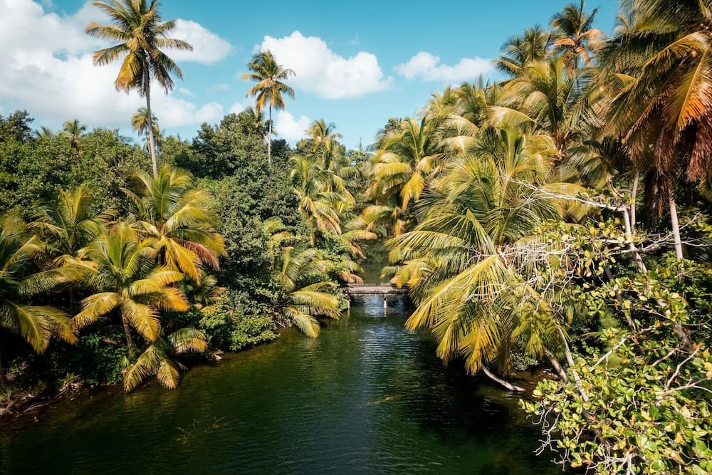 Four Seasons Resort and Residence Puerto Rico - Photo 36