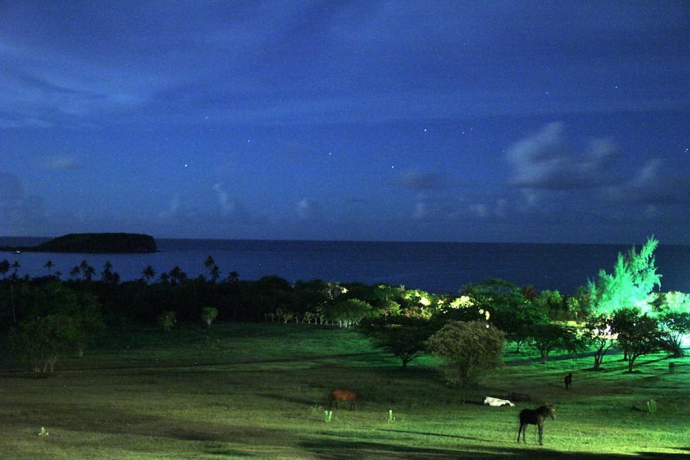 Hacienda Tamarindo - Photo 136