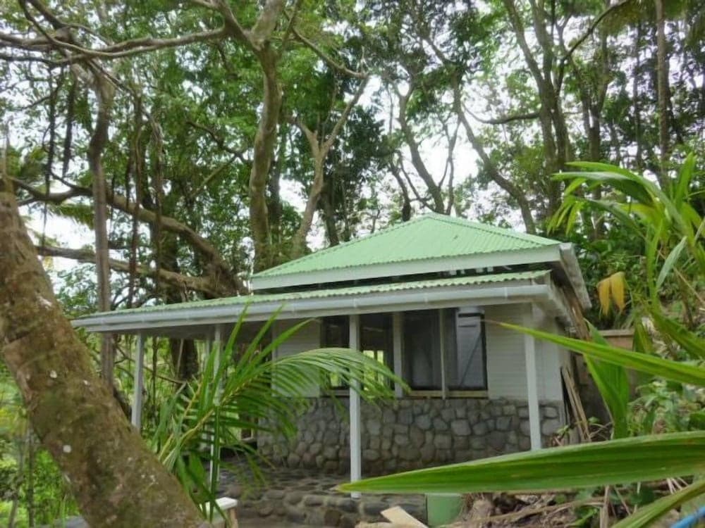 Citrus Creek Plantation - Photo 92