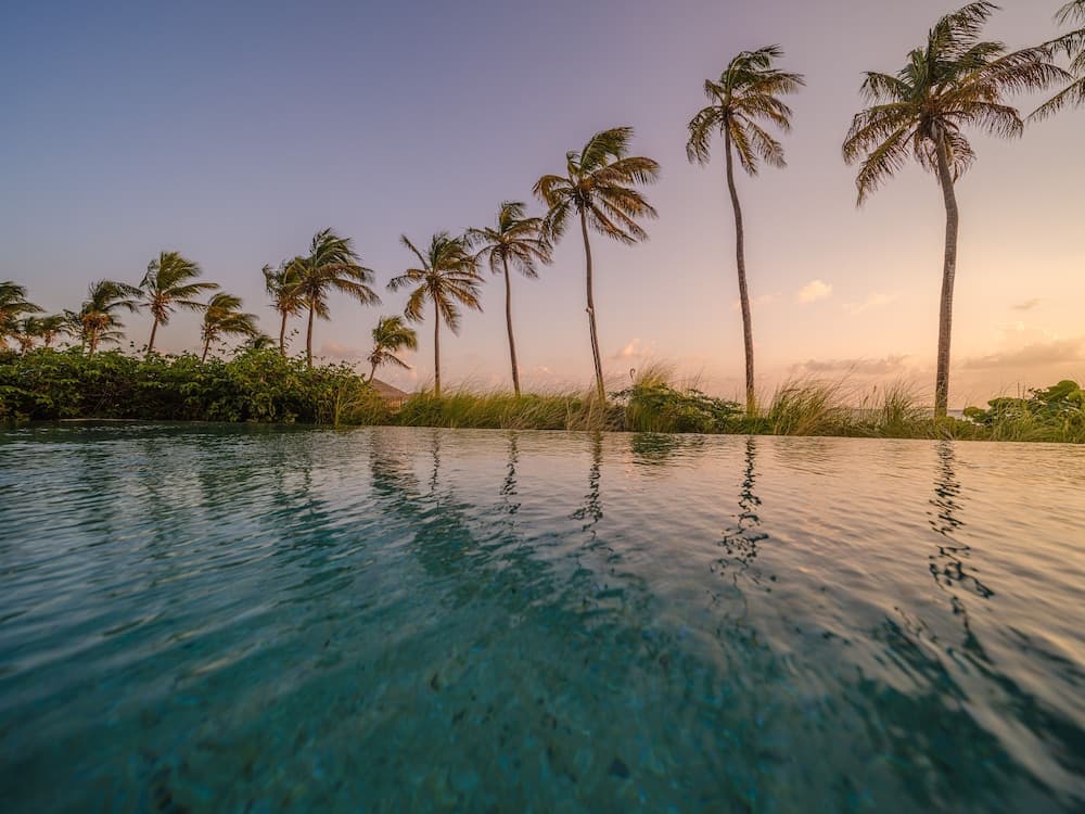 The Liming Bequia - Photo 64