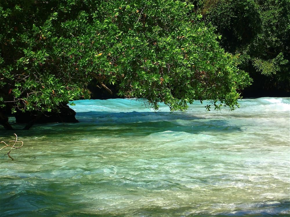 Goblin Hill Villas at San San - Photo 189