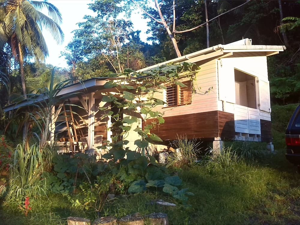 Citrus Creek Plantation - Photo 52