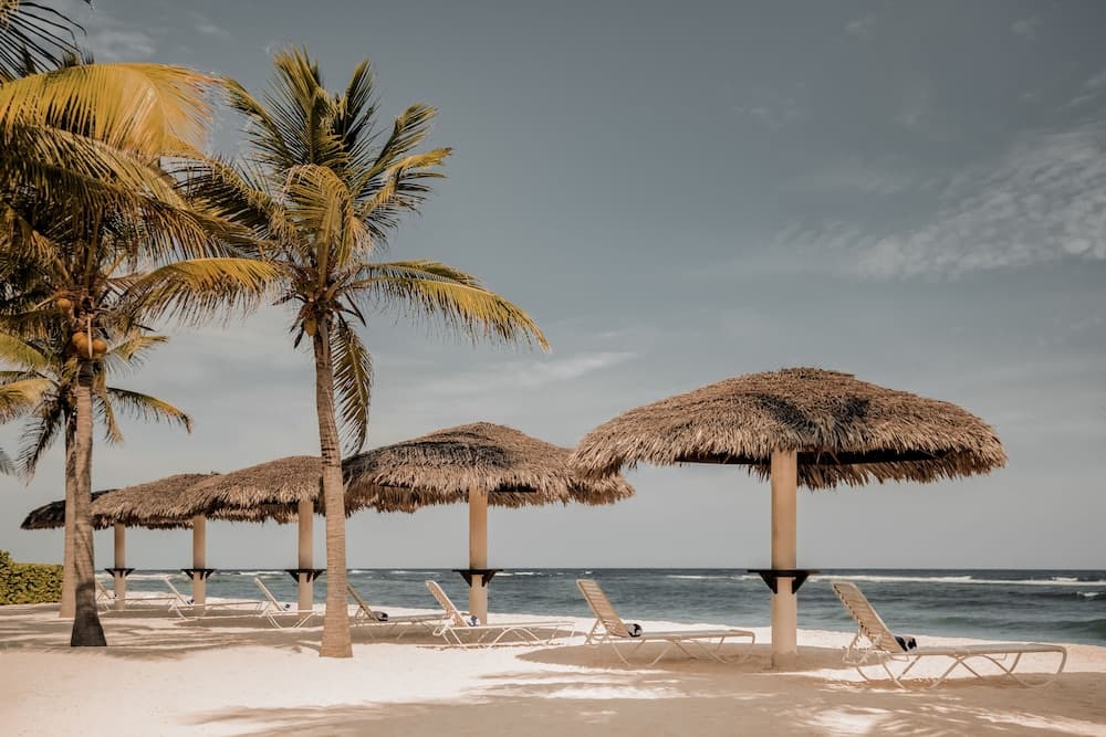 Le Soleil d'Or CaymanBrac - Photo 126