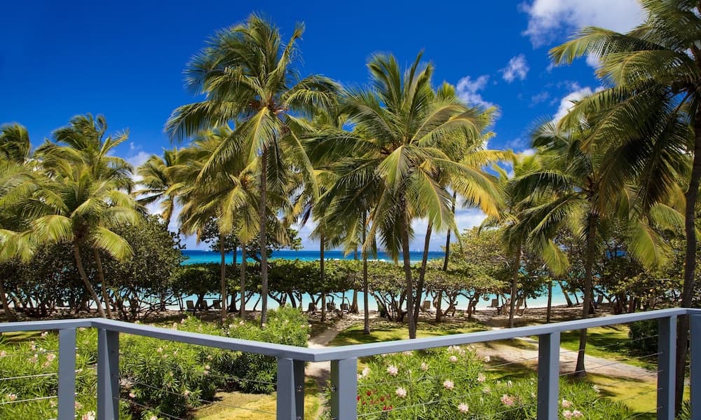 Rosewood Little Dix Bay - Photo 36