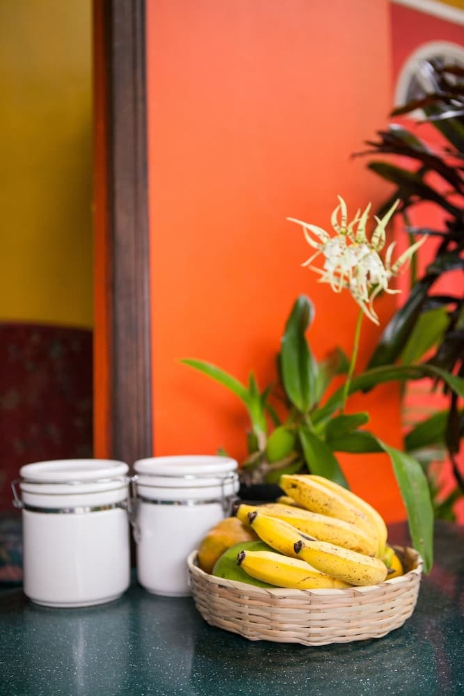 Casa da Buena Vista - Photo 102