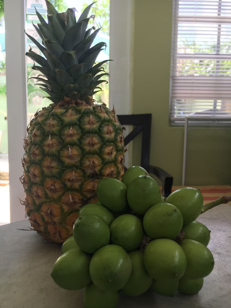 Sea Gate Hotel - Photo 43