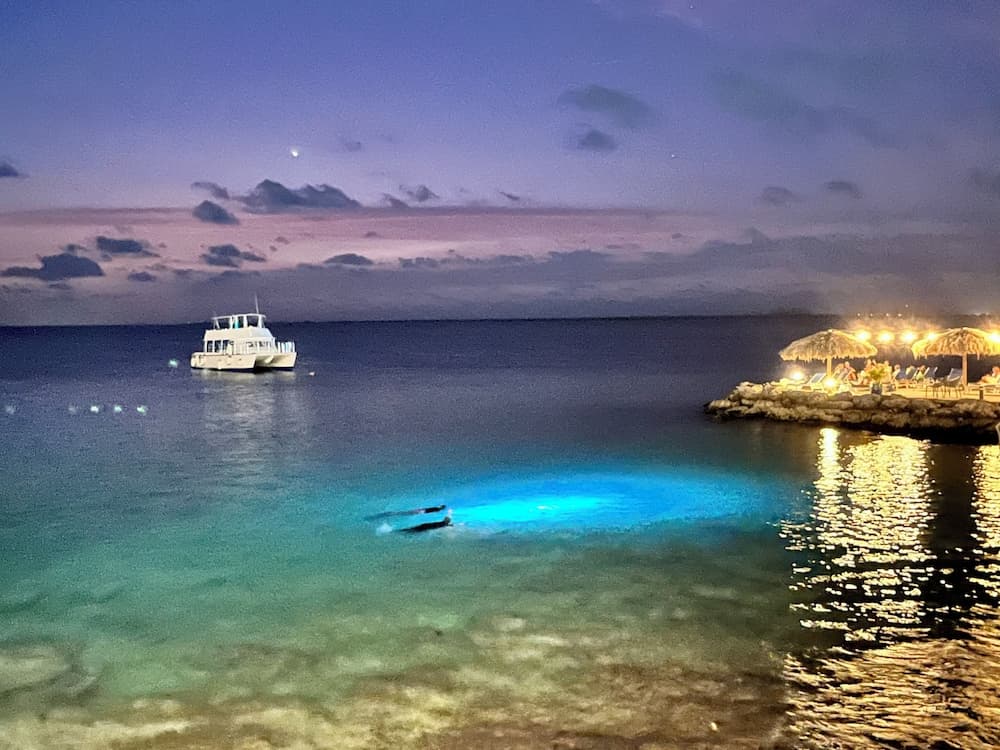 Divi Flamingo Beach Resort & Casino - Photo 65