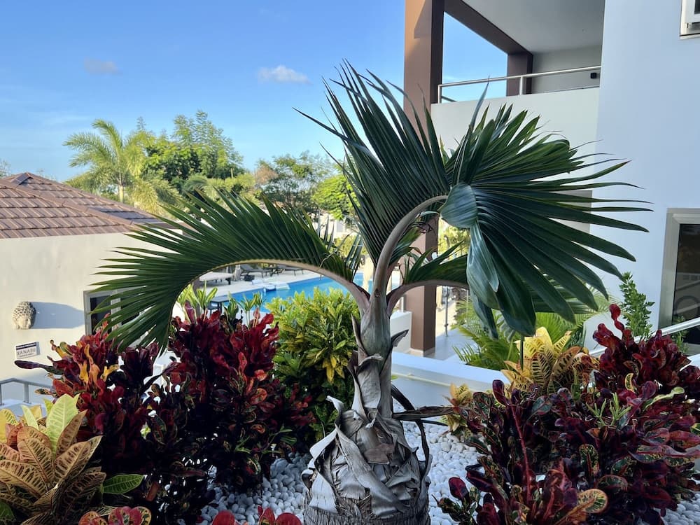 Xanadu Apartments at Blue Bay Golf & Beach Resort - Photo 14