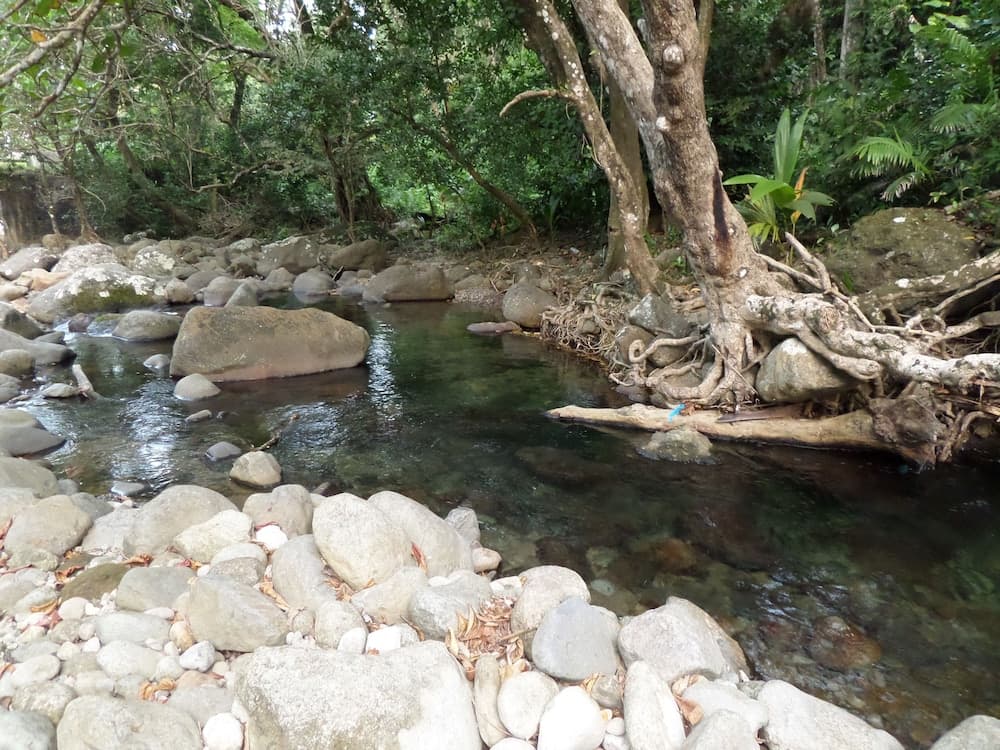 Citrus Creek Plantation - Photo 40