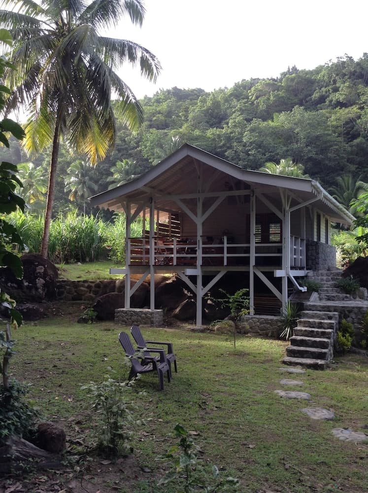 Citrus Creek Plantation - Photo 77