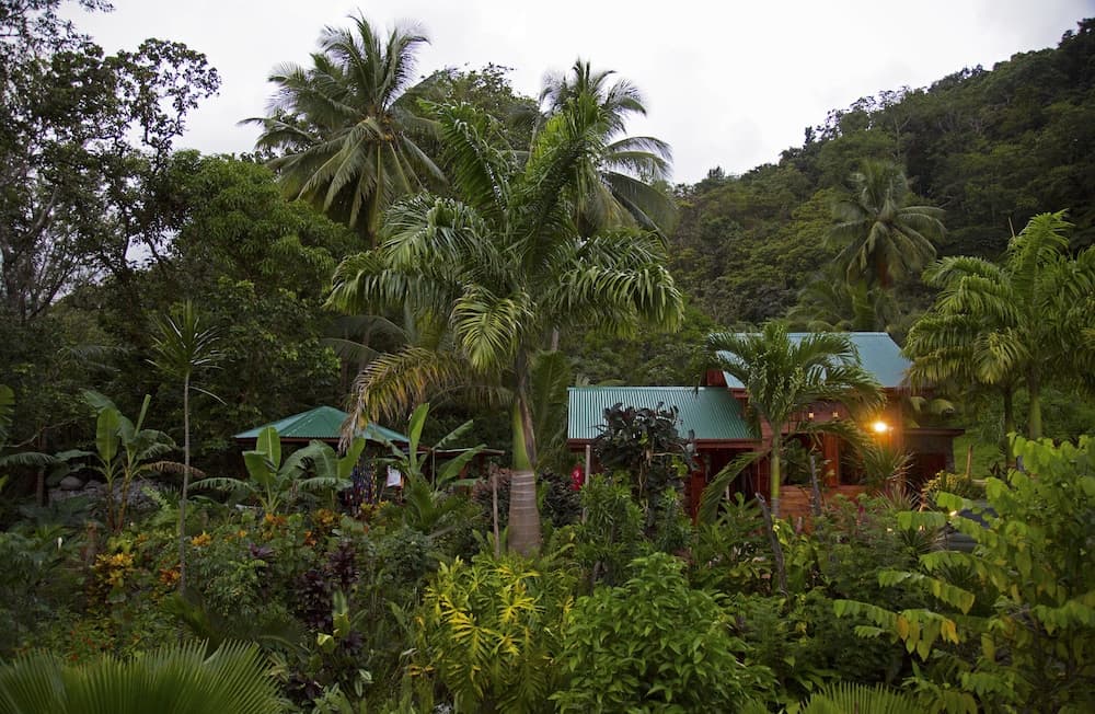 Citrus Creek Plantation - Photo 110