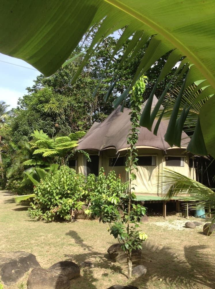 Citrus Creek Plantation - Photo 83