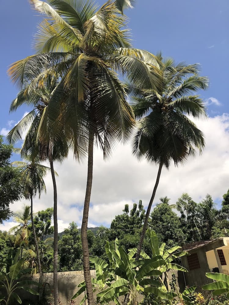 Hotel Inoubliable - Photo 68