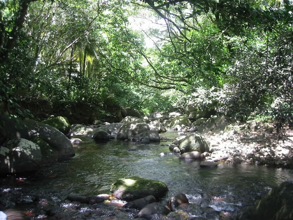 Citrus Creek Plantation - Photo 120