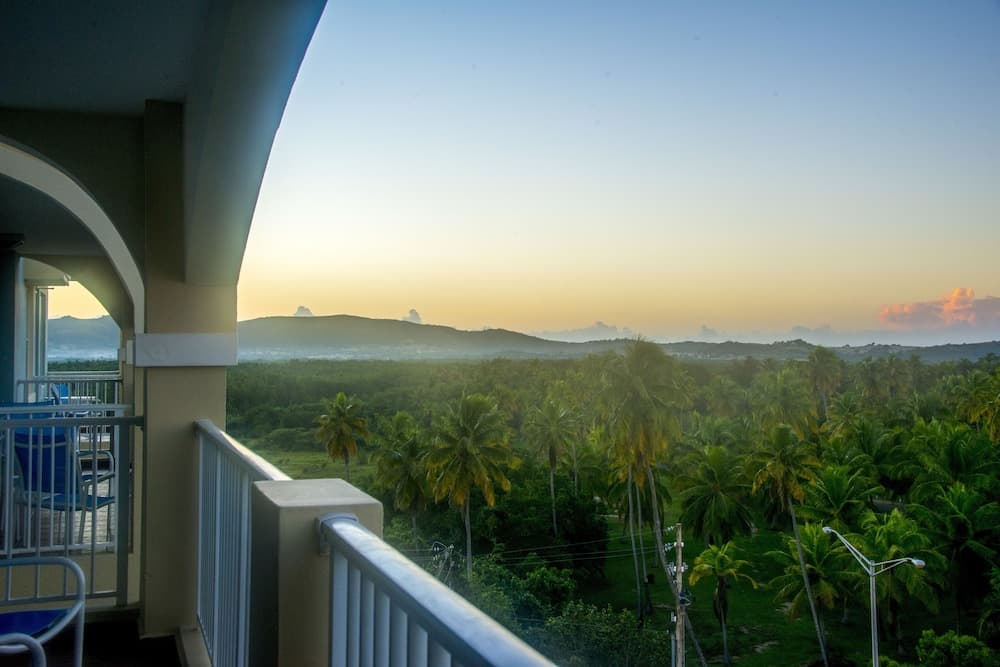 Aquarius Vacation Club at Boqueron Beach Resort - Photo 30