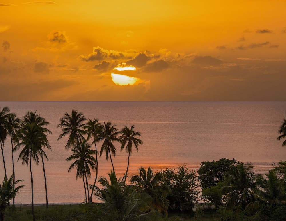Aquarius Vacation Club at Boqueron Beach Resort - Photo 28