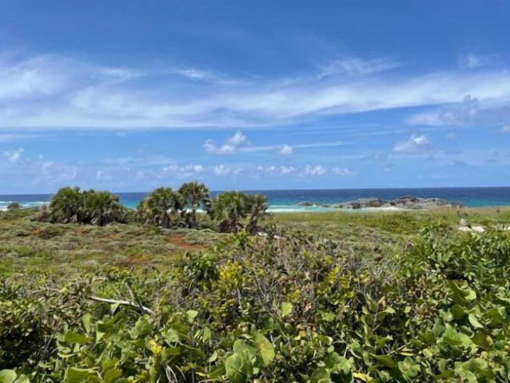 Dragon Cay Resort - Photo 48