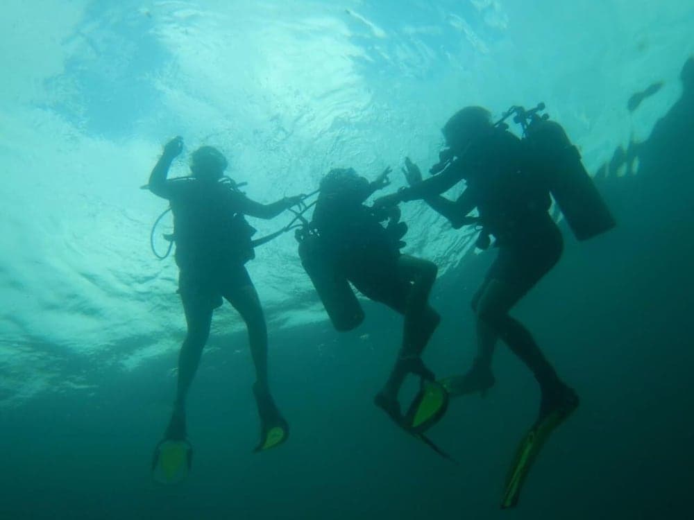 Richmond Vale Diving and Hiking Center - Hostel - Photo 15