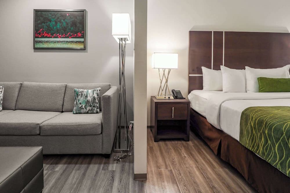 Comfort Inn & Suites Tobago - Photo 3